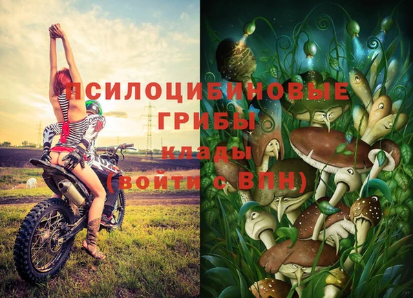 прущие грибы Нефтегорск