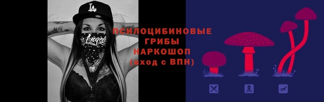 прущие грибы Нефтегорск