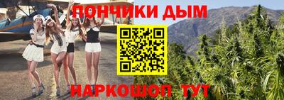 СК Дубна