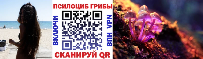 хочу наркоту  Ялта  Галлюциногенные грибы прущие грибы 