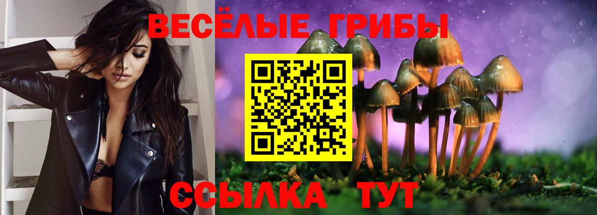 Галлюциногенные грибы GOLDEN TEACHER  Вход с VPN  Ялта 